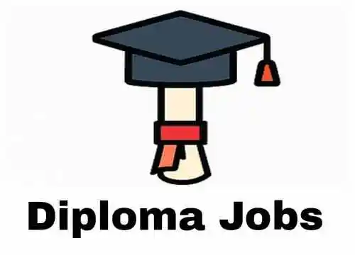Noida Jobs