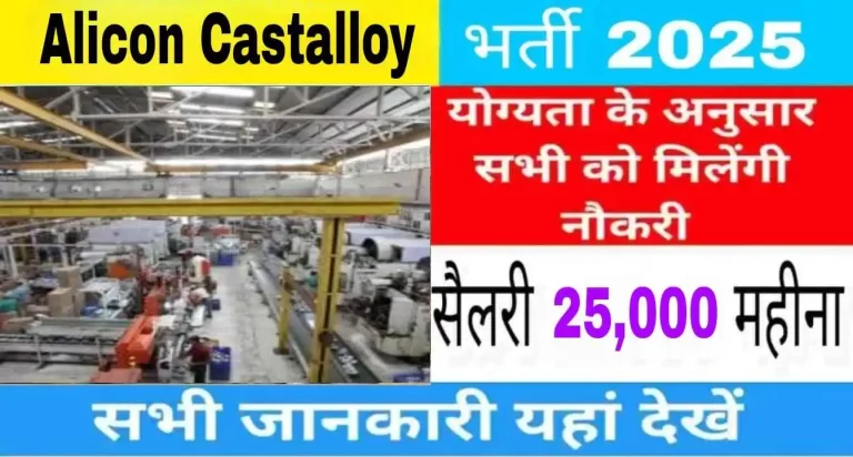 Alicon Castalloy Limited Company Job Opportunity 2025